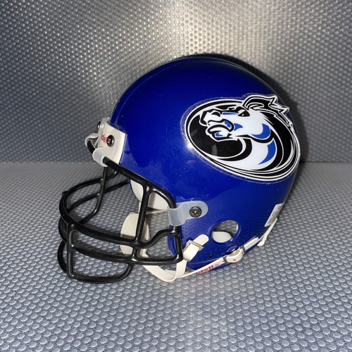 Nfl mini riddell - nfl, pro